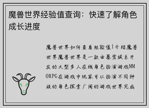 魔兽世界经验值查询：快速了解角色成长进度